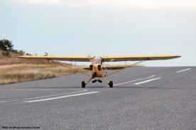 Piper Cub Réplica